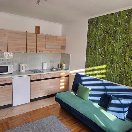 Apartamenty Zielony 아파트 *